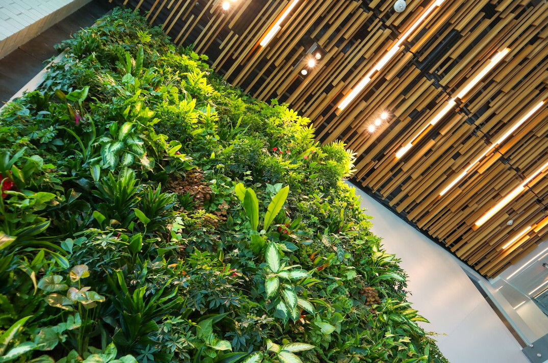 vertical garden indoor wall