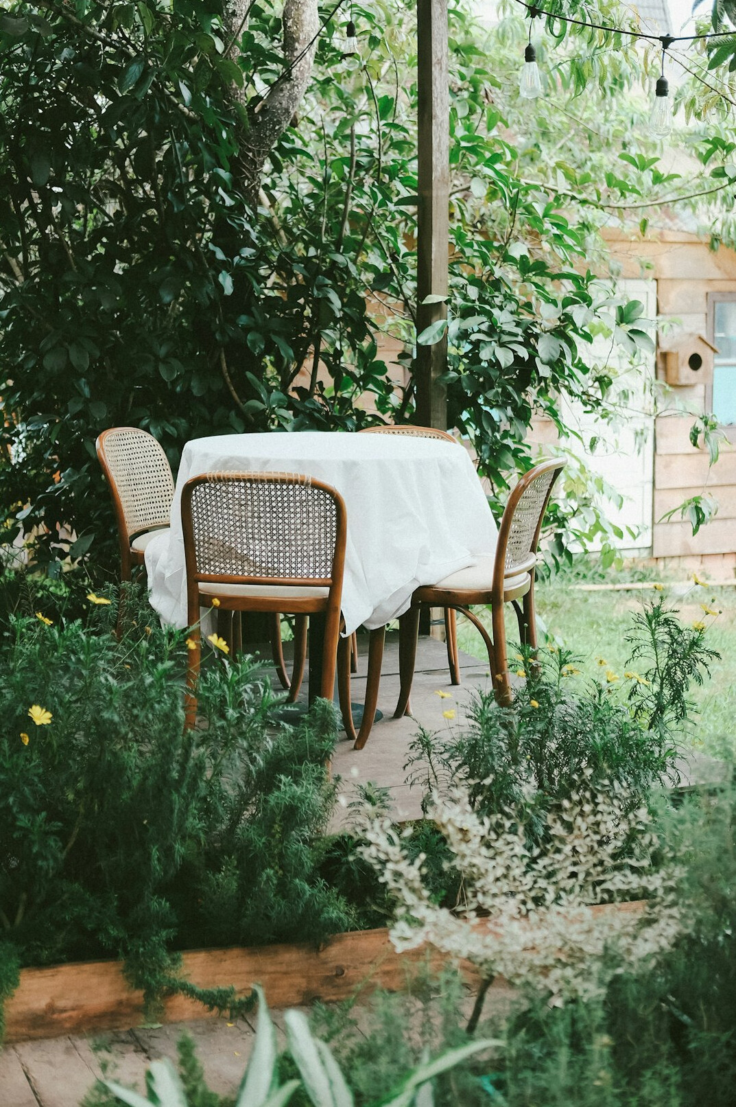 home garden setup