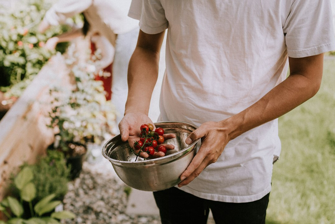 person gardening in backyard