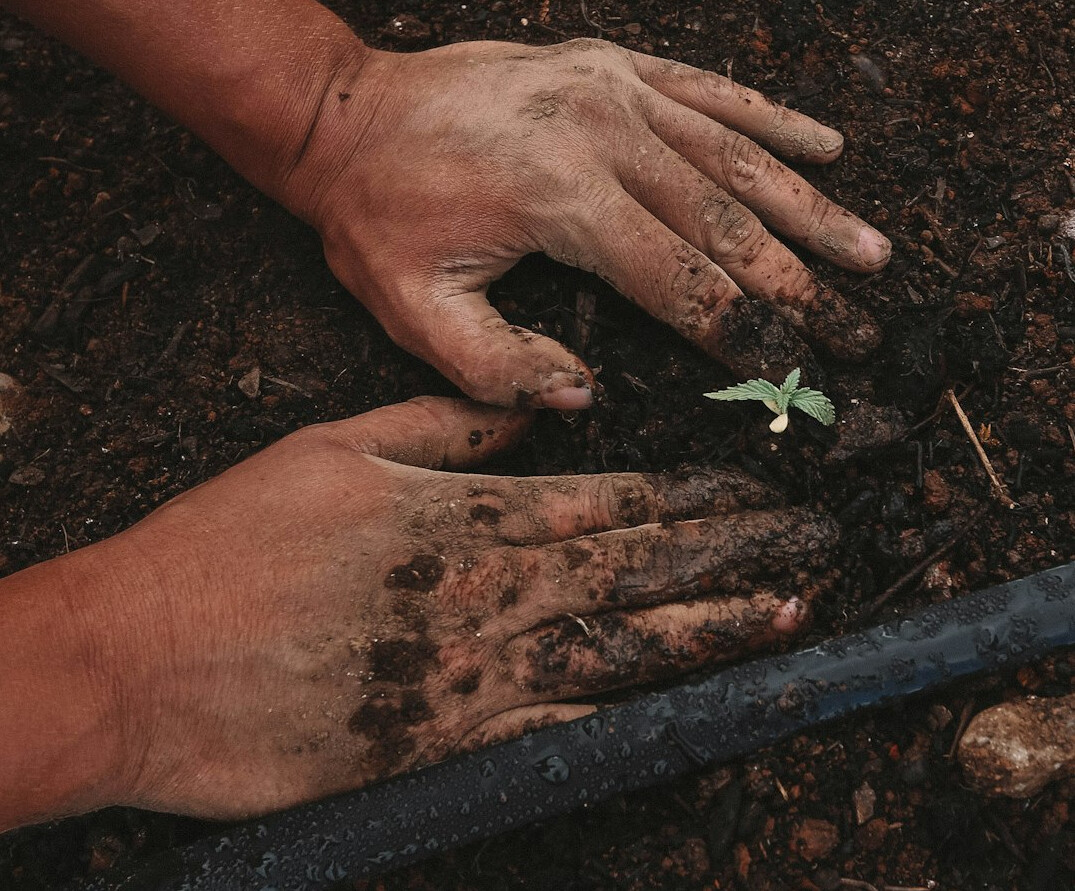 soil preparation