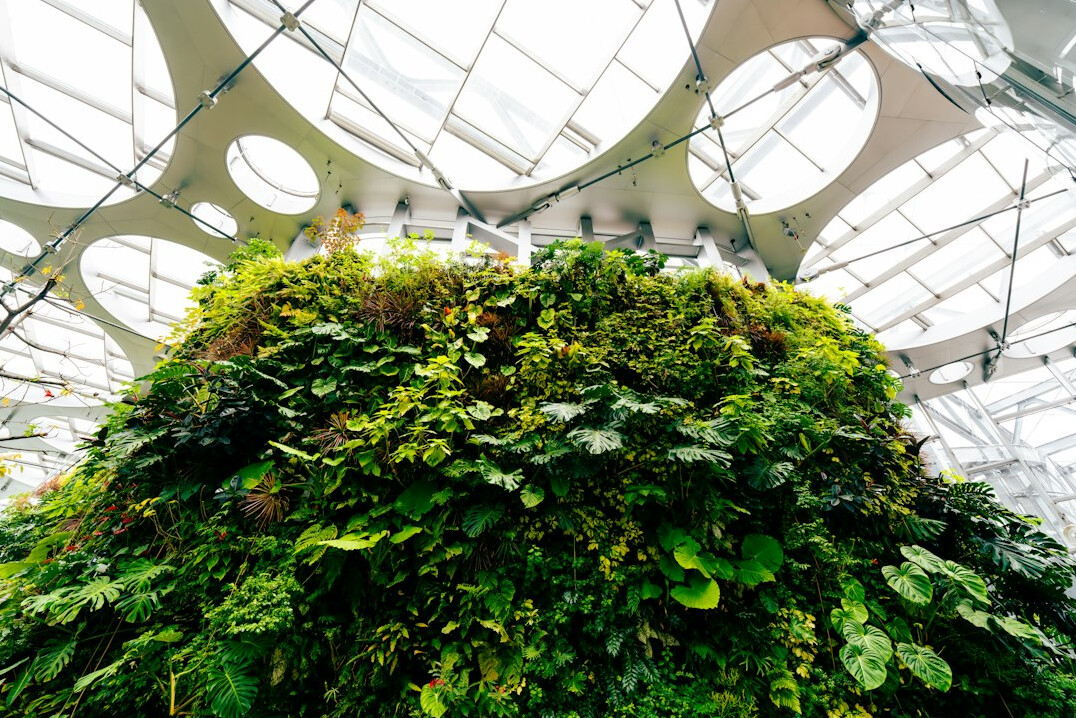 person installing vertical garden