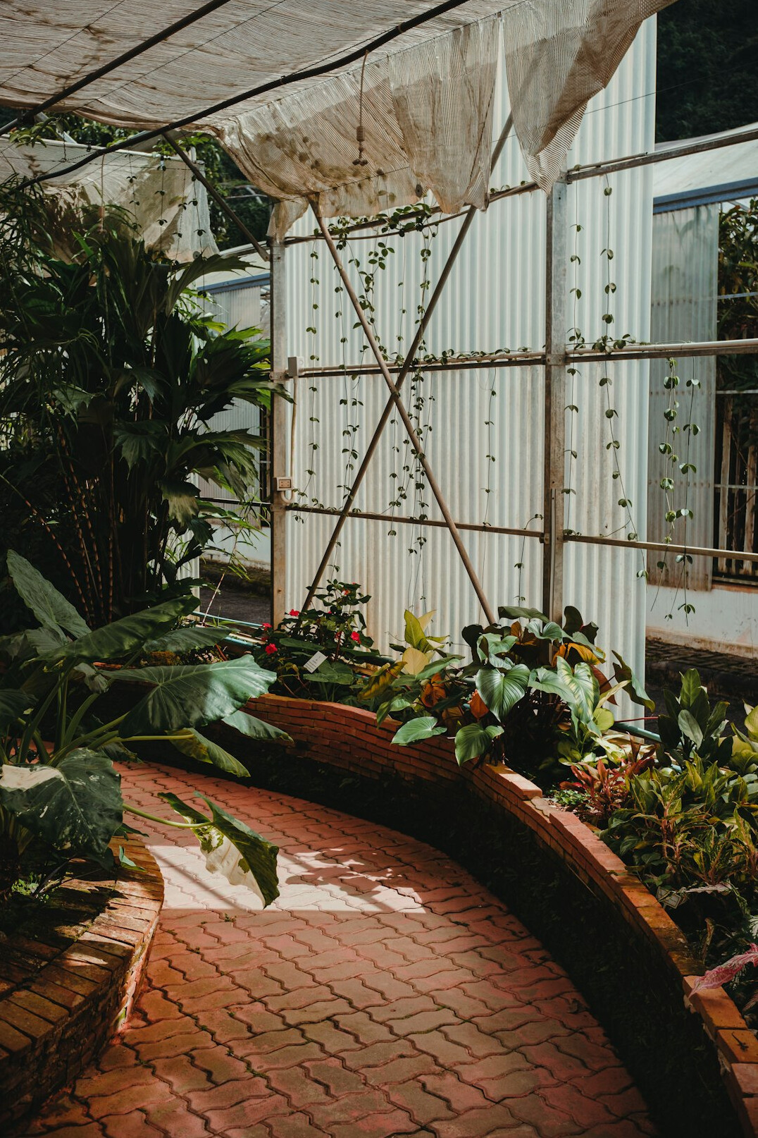 home garden setup