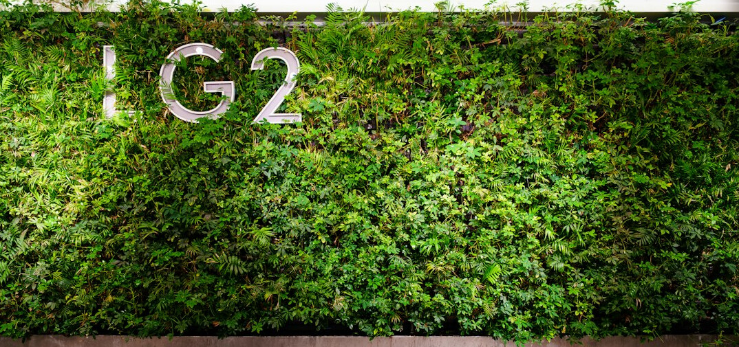 vertical garden indoor wall