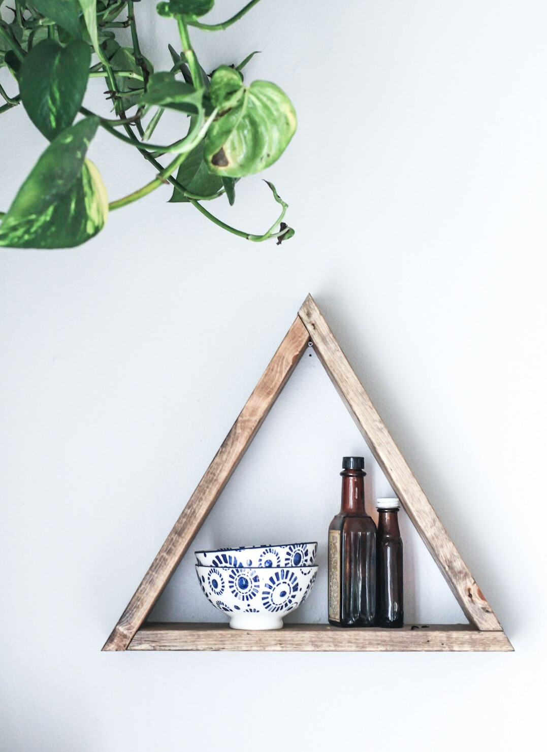 pothos hanging plant